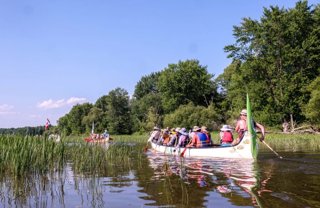 Voyageur canoes paddling single file through tall marsh reeds on the Ottawa River, a green Sentiers Kichi Sibi Trails flag on the lead canoe